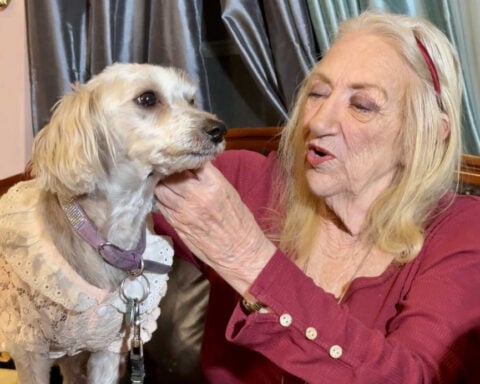 Woman says invasive green iguana nearly killed her dog