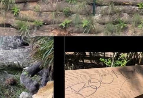 'Native plants dug up': State park damaged 2 weeks after $5 million restoration