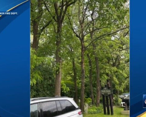 Woman injured in lightning strike