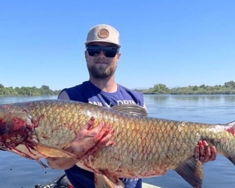Idaho archer breaks state record with 67-pound grass carp