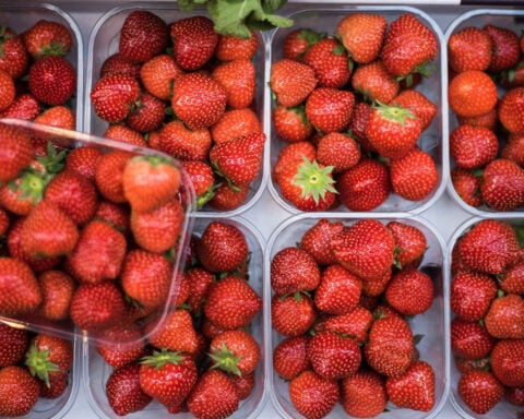 Video: Food scientist explains how to stop your groceries going bad