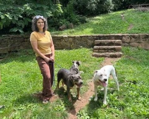 After dogs survive bear fight in fenced yard, expert offers pet owners safety advice