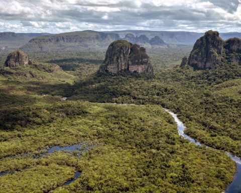 6,000-year-old skeletons found in Colombia have unique DNA