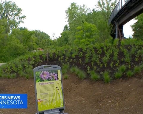 New first-of-its-kind garden at Minnesota Zoo aims to help pollinators thrive