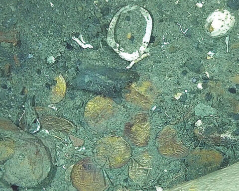 New images reveal treasures aboard ‘holy grail’ shipwreck