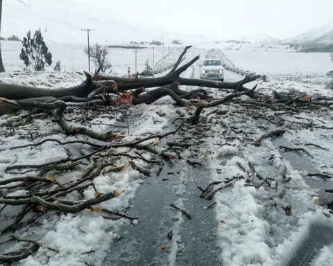 Children swept away in school bus among at least 49 killed in South Africa flooding
