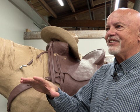 Veterinarian-turned-sculptor: 'This whole art thing kind of all happened by accident'