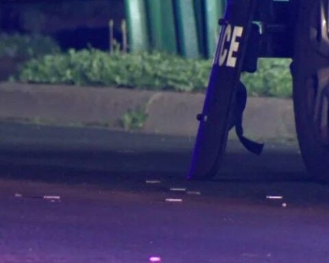 Officers shoot chainsaw-wielding man, police say
