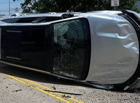 Cicada flies into car window, causing driver to lose control, crash into pole
