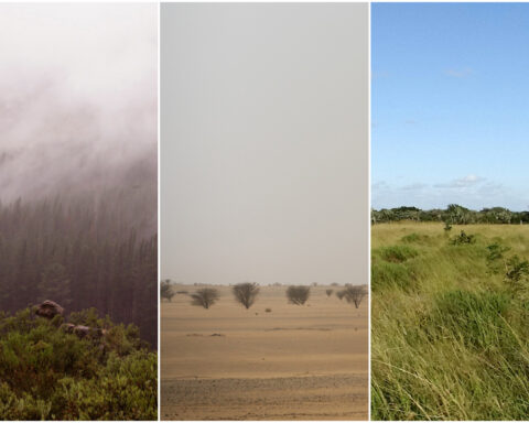 Early humans survived in a range of extreme environments before global migration, study says