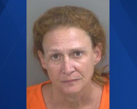 Florida dog walker accused of stealing $106K in jewelry from elderly neighbor