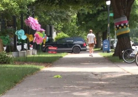 Yarn Graffiti Gang beautifying Martindale-Brightwood Neighborhood with tree art