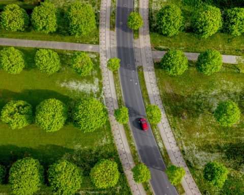 Want to plant trees to offset fossil fuels? You'd need all of North and Central America, study finds