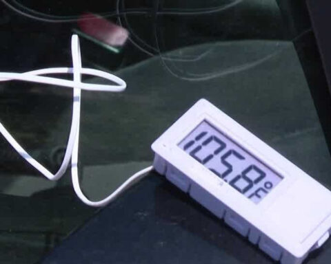 'Their bodily functions will start shutting down': Nebraska Humane Society hosts hot car demonstration