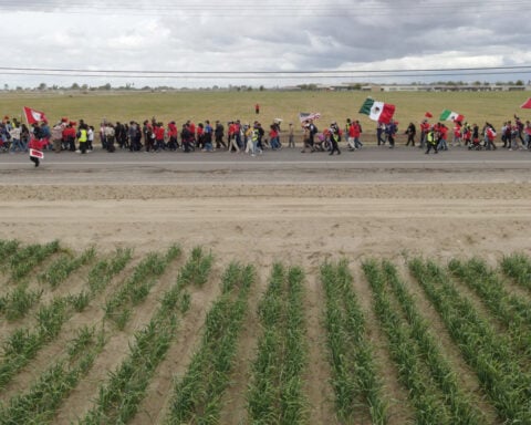 Trump says he is looking at new steps on farm labor