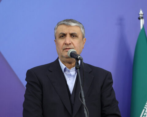 Iran is looking to restore its nuclear industry, Iran's nuclear chief says