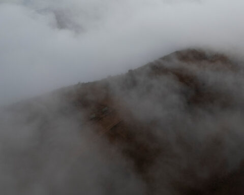 In Chile's Atacama, world's driest desert, growing lettuces with fog