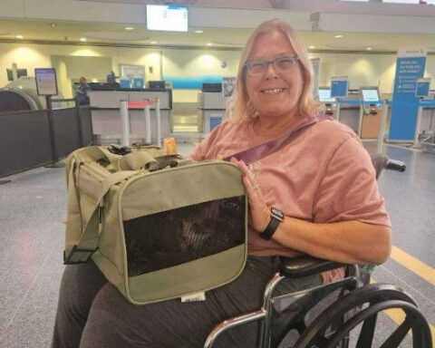 Local animal rescuer leads rally to get runaway cat to soldier stationed in Las Vegas