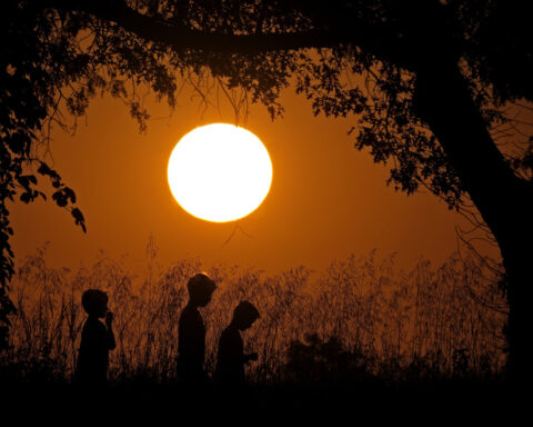 The emotional toll of climate change is broad-ranging, especially for young people