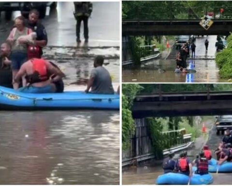 Richmond firefighters rescue couple and dogs stranded on truck's roof