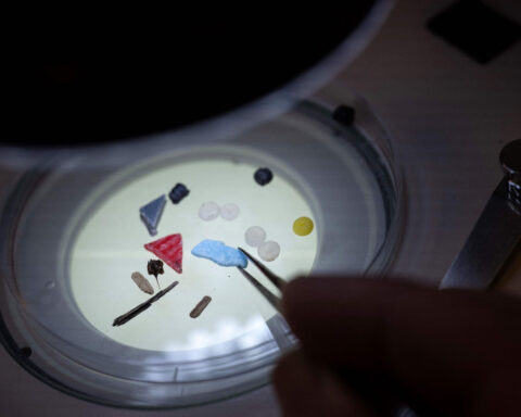 Scientists discovered microplastics in human semen and follicular fluid
