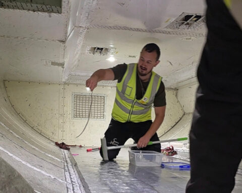Snake on a plane delays a flight in Australia
