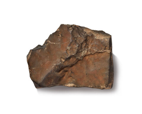 World’s biggest Mars rock could sell for $4 million