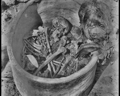 The first genome sequenced from ancient Egypt reveals surprising ancestry, scientists say