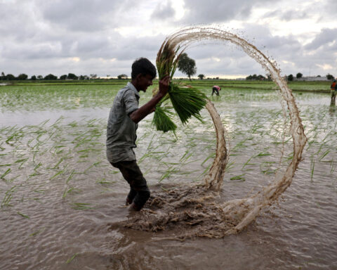 Why are farm goods holding up the India-U.S. trade deal?