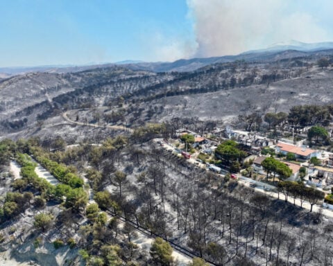 Story on little-known group claiming to have started forest fires is withdrawn