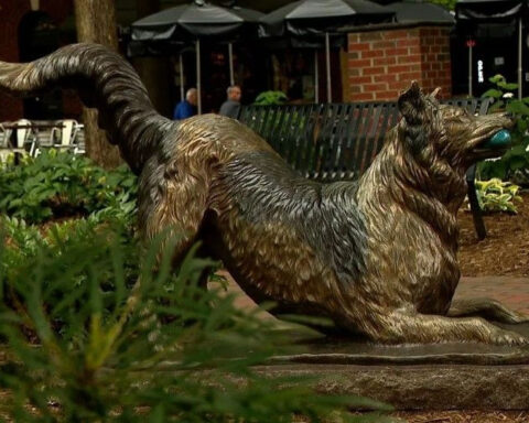 Statue honors Chaser, known as 'the world's smartest dog'