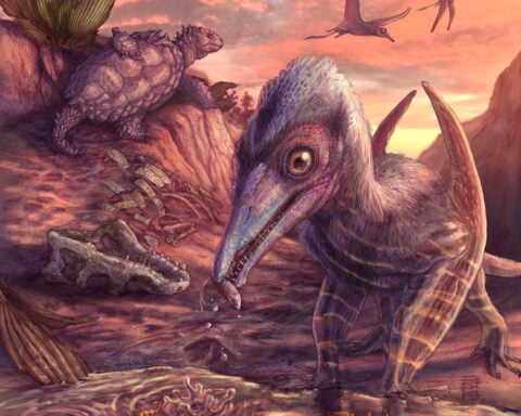 Arizona fossils reveal an ecosystem in flux early in the age of dinosaurs