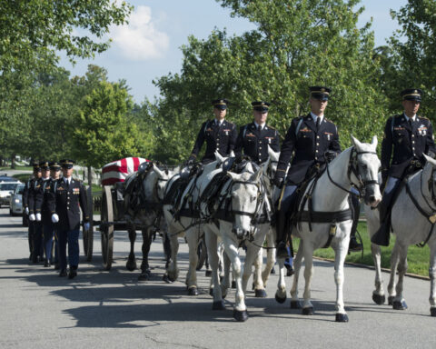 Army will end most of its ceremonial horse programs and adopt out the animals