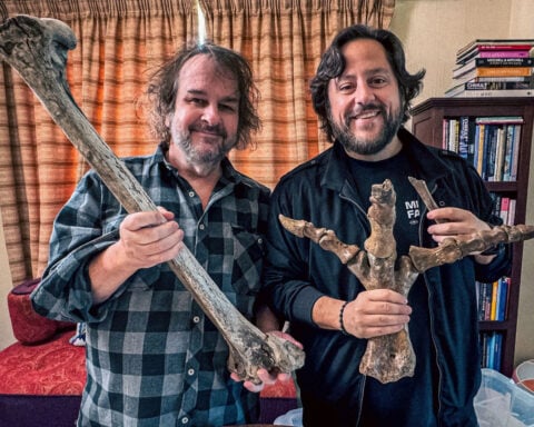 Giant, flightless bird is next target for de-extinction company Colossal Biosciences