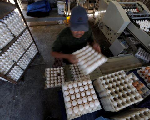 US government sues California over egg prices
