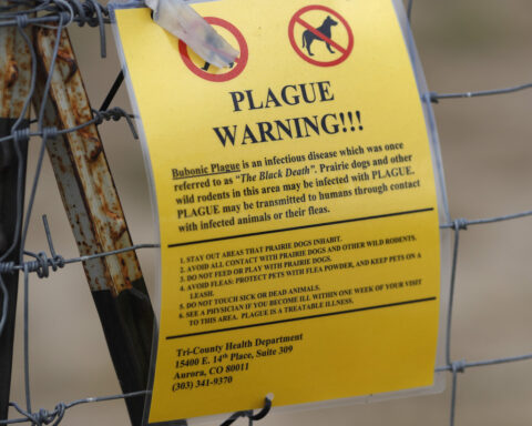 Northern Arizona resident dies from plague