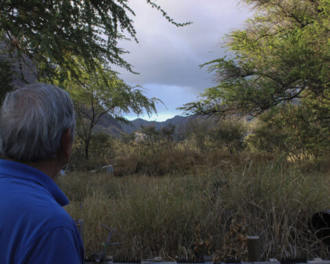Could this Hawaii community be the next Lahaina? Some residents fear a similar wildfire fate