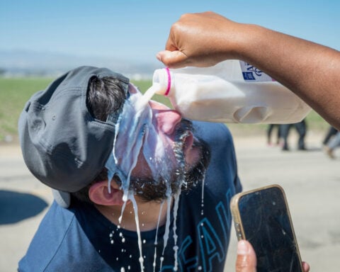 A chaotic raid, 360 arrests, and a tragic death: What happened at California's Glass House Farms