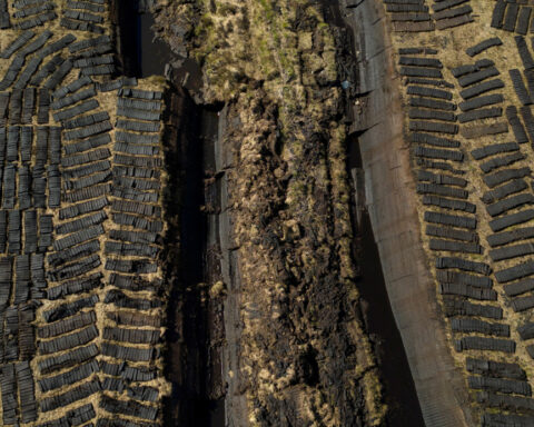 World risks up to $39 trillion in economic losses from vanishing wetlands, report says