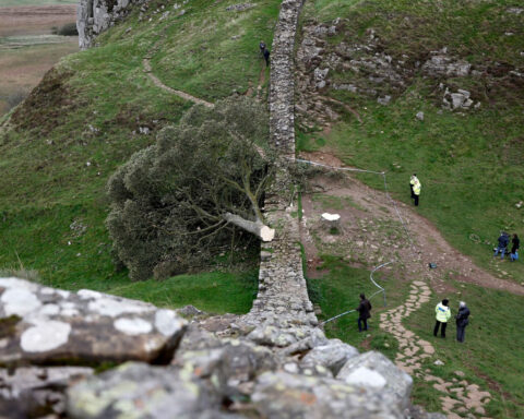 Sycamore gap tree fellers sentenced to more than four years each in prison