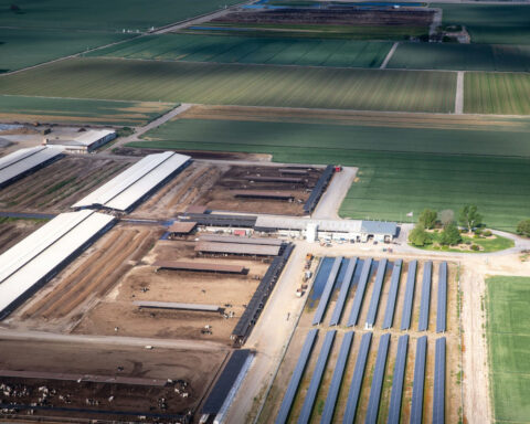 California farmers identify a hot new cash crop: Solar power