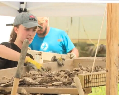 Veterans, service members help restore oysters and clean water