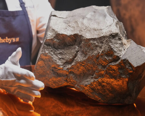 Largest piece of Mars on Earth fetches $5.3 million at auction, but young dinosaur steals the show