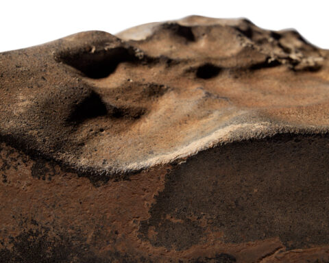 World’s biggest Mars rock sells for $5.3 million at auction
