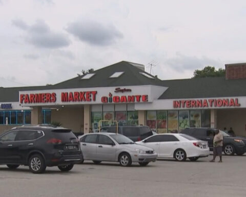14 undocumented immigrants arrested in ICE raid at supermarket