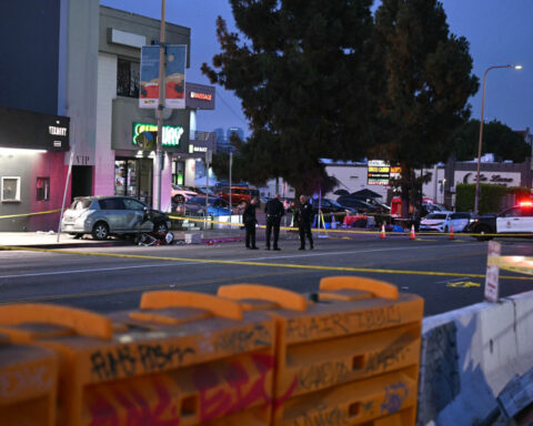 At least 30 hurt after vehicle strikes crowd outside Los Angeles nightclub. The driver was then shot by bystander, police say