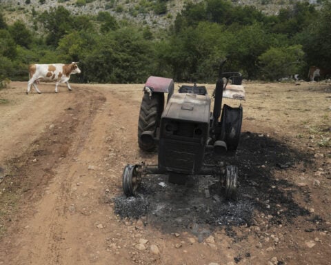 Water tanks replace springs on a Serbian mountain as drought endangers some 1,000 cows and horses