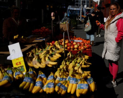 Irish consumer sentiment drops to near two-year low in July
