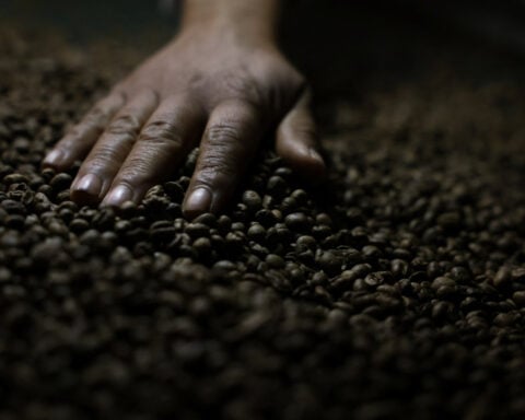 Brazil coffee growers wary of incoming Trump tariffs