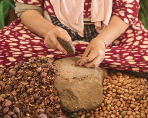 The beauty industry loves argan oil. But demand, and drought, are straining Morocco and its trees